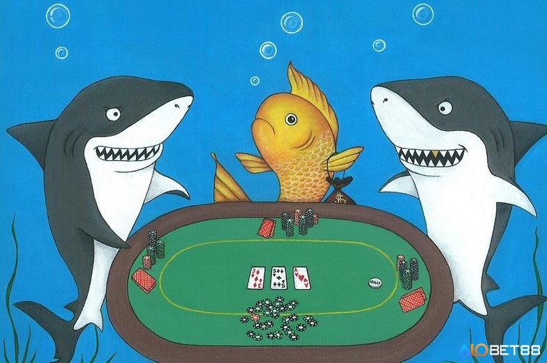 Fish trong Poker là một thuật ngữ quen thuộc với người chơi yêu thích trò chơi poker