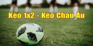 Kèo Châu Âu 1x2 là gì? Hướng dẫn cược kèo chuẩn xác