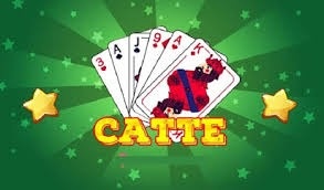 Thuật ngữ bài Catte cơ bản dành cho tân thủ cùng Alobet88