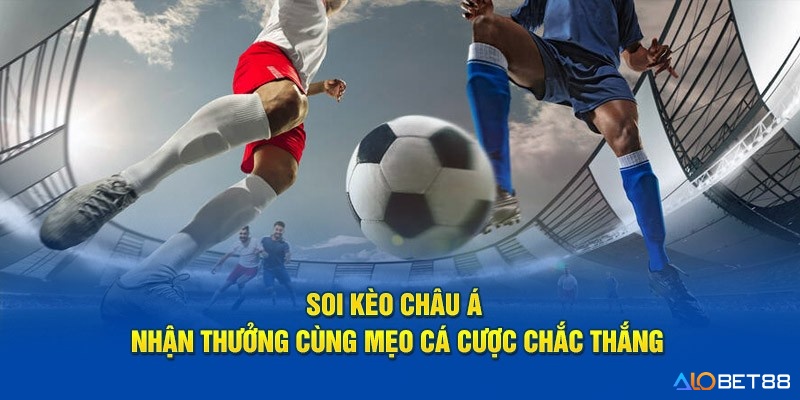 Kinh nghiệm đánh kèo Châu Á giúp nâng cao tỷ lệ thắng 